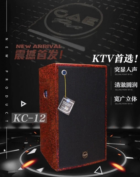 【狼群在线资源WWW官网音響】室外廣場舞台音響拾音妙招
